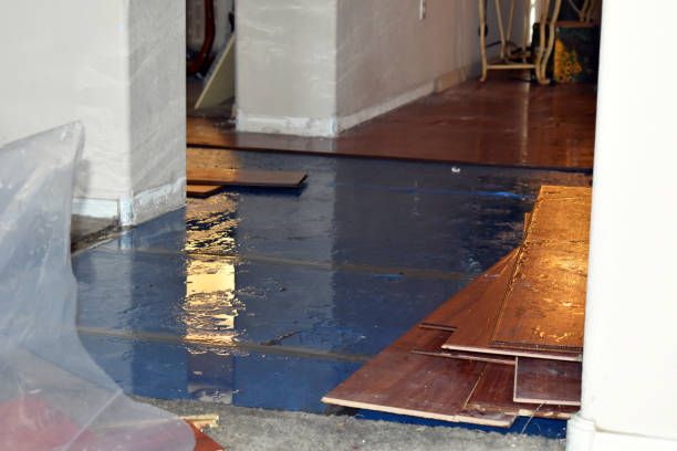 Professional Basement Flood Cleanup technician working in Peak, SC